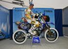 Stefan Everts (2006)